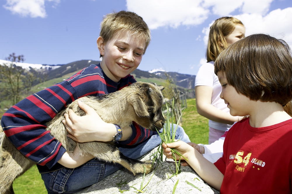 Ausgezeichnete Familienhotels Im Salzburgerland Salzburgerland Magazin