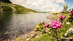 Raus aus der Erschöpfung