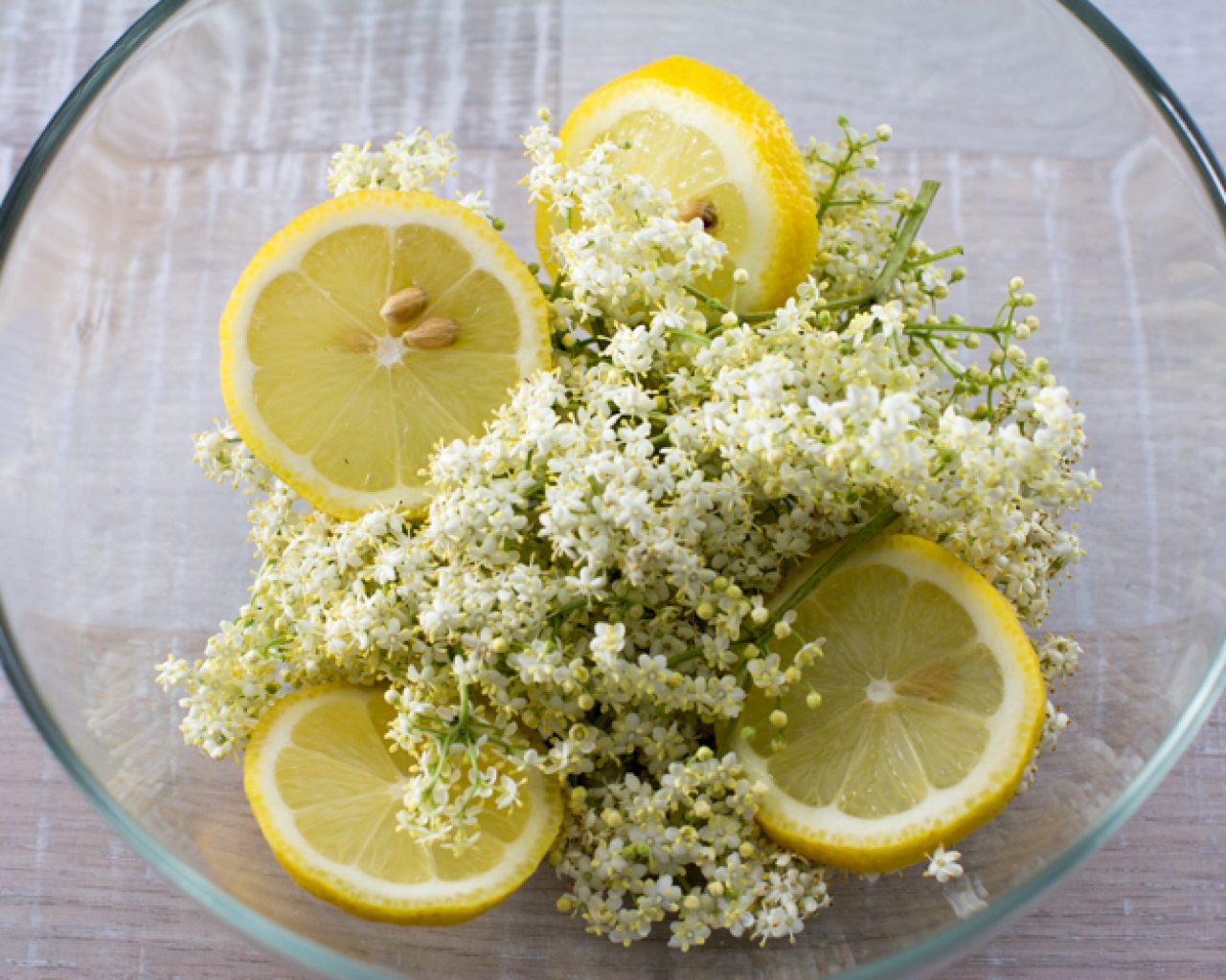 Holunderblüten-Rezepte - SalzburgerLand Magazin