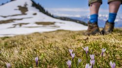 5-Gipfel Frühlingstour in der Osterhorngruppe