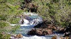 Wasser-Wanderung in Filzmoos