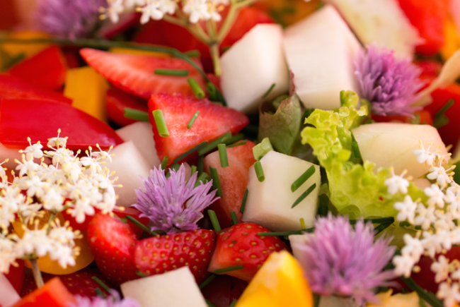 Holunderblüten im Salat