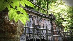 Wanderung zum Fürstenbrunner Wasserschloss