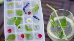 Kräuterwasser und Blumeneiswürfel