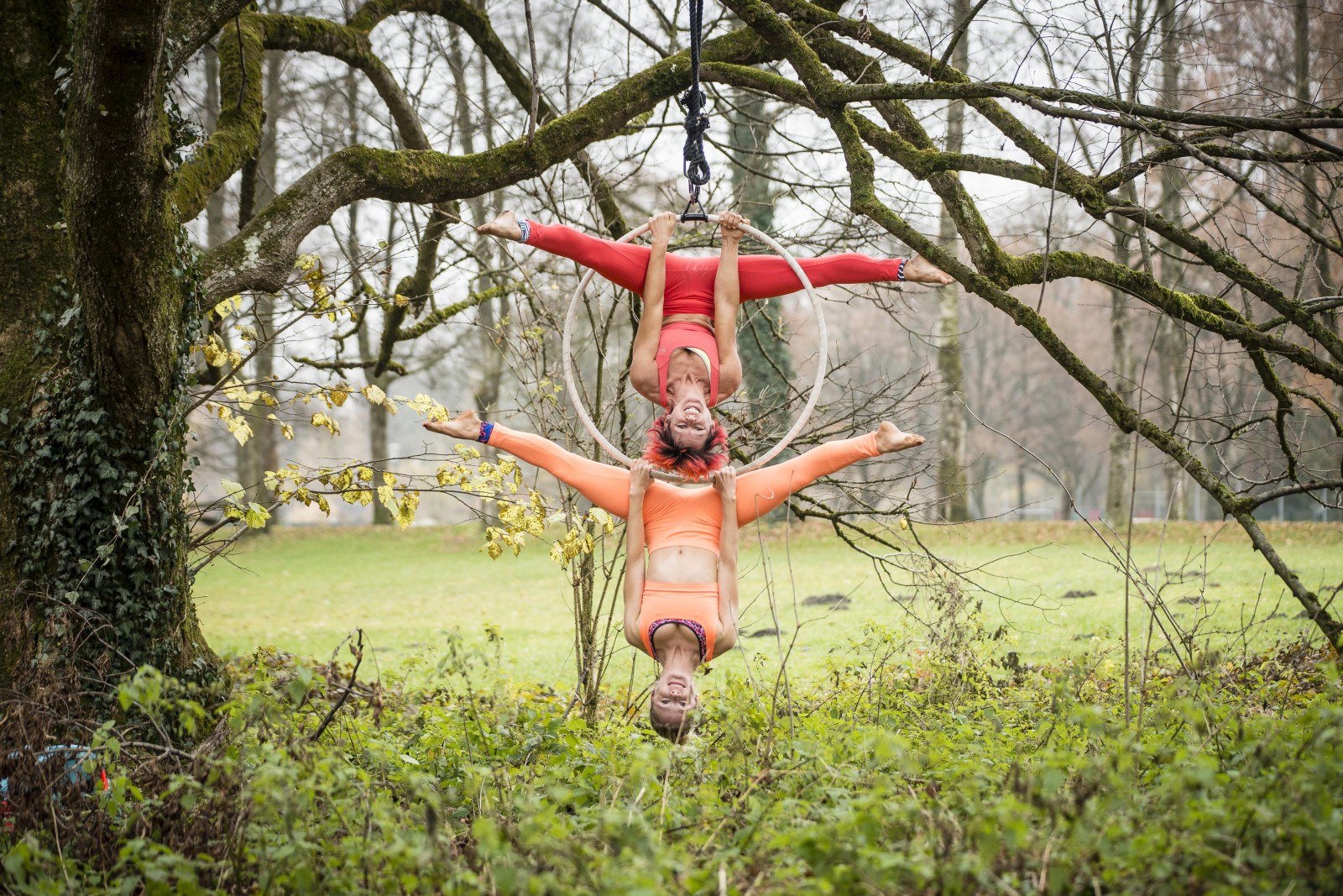 Aerial Hoop Duett (c) wildbild/tk