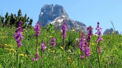 Energie tanken beim Kamplbründl