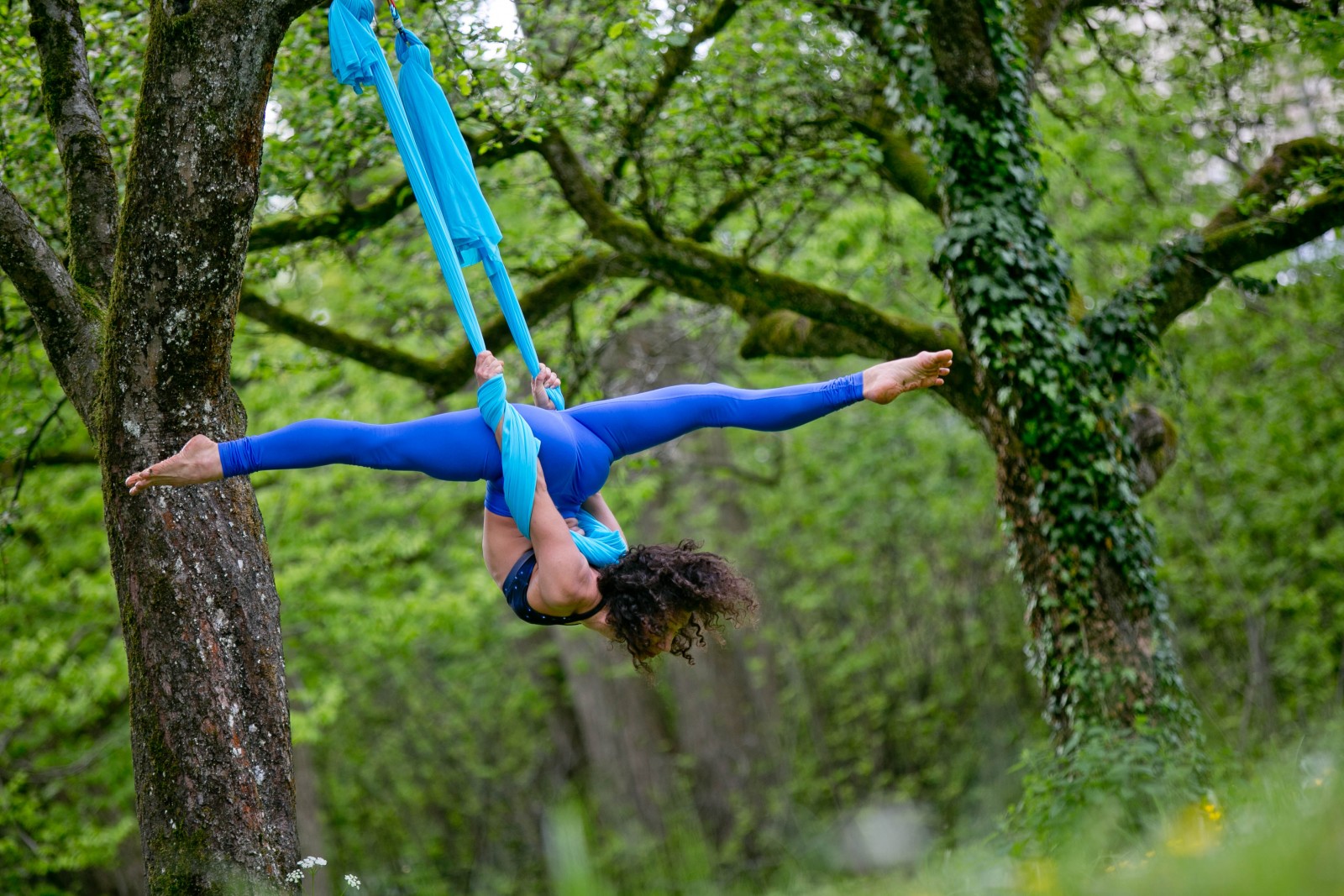 Jasmin im Hammock (c) wildbild