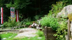 In frische Waldluft eintauchen und baden