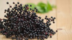 Rezepte mit Hollerbeeren