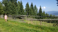 Wandern am Fanningberg