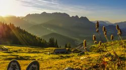 Herbstgold in den Salzburger Dolomiten