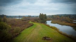 Weidmoos: ein Paradies, nicht nur für Vögel