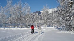 Das Blinklingmoos in Strobl