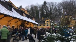 Bauernadvent am Gutshof Glanegg