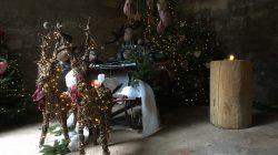 Zauberhafte Weihnachtswunderwelt St. Peter