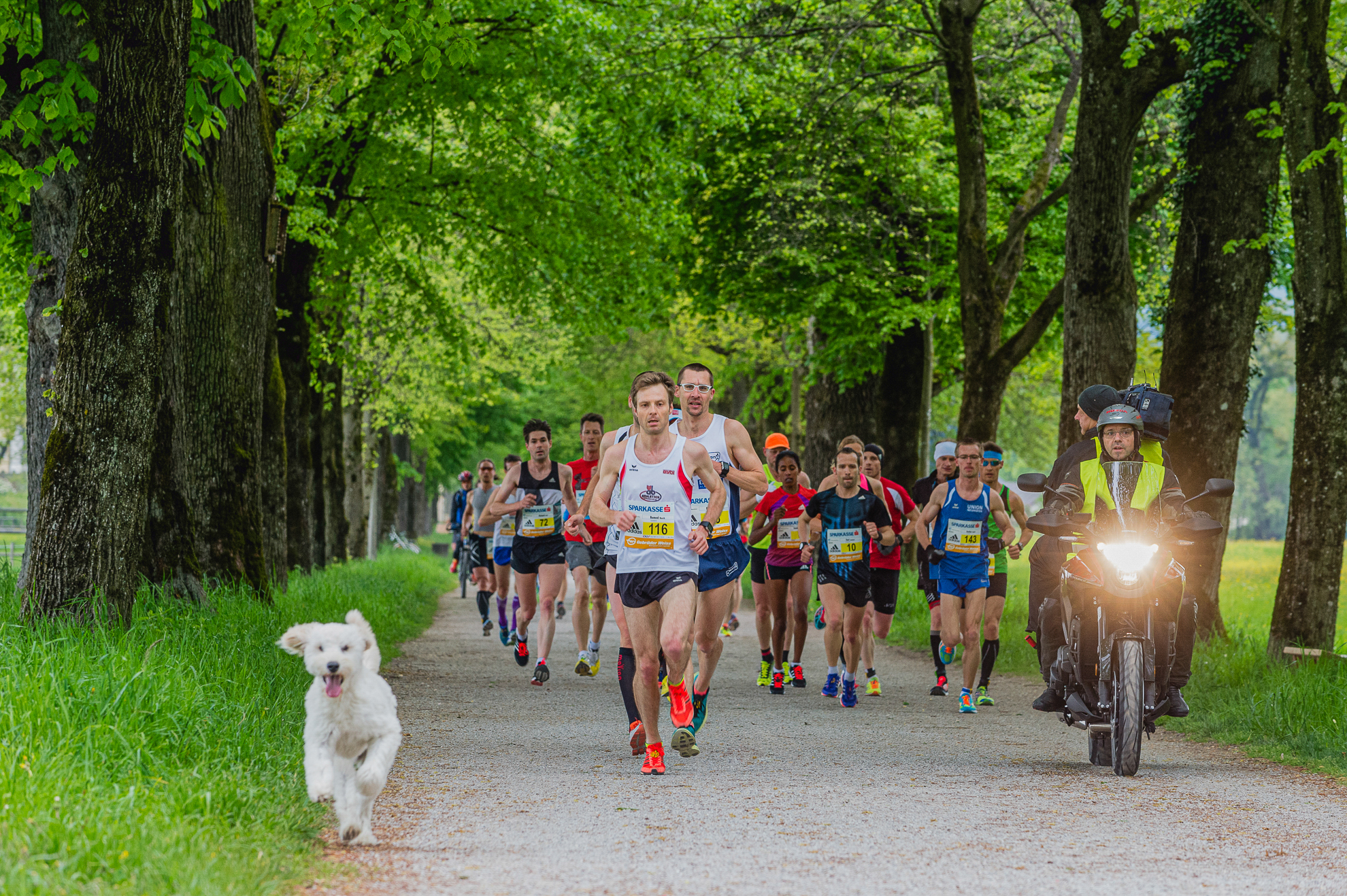 Marathon ©Bryan Reinhart