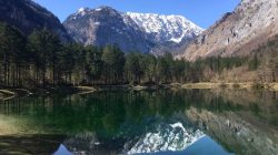 Frühlingsimpressionen aus dem Bluntautal