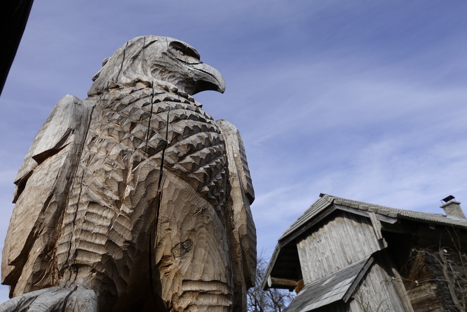 wacht über Haus und Hof: Adler 