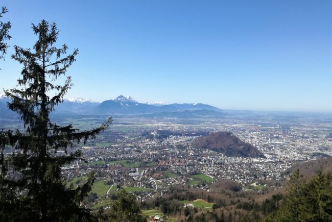 Gaisberg_Blick vom Rundwanderweg
