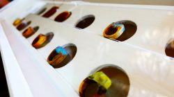 Holzkunst aus Strobl am Wolfgangsee