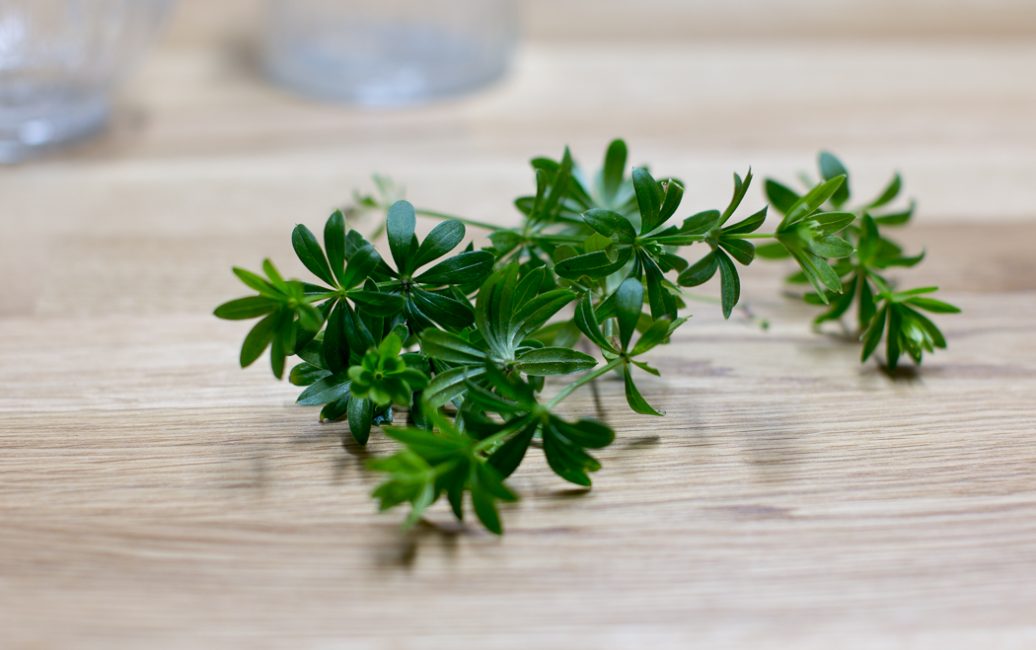 Traditionelle Maibowle mit Waldmeister - SalzburgerLand Magazin