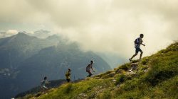 Fit for Adidas TERREX INFINITE TRAILS