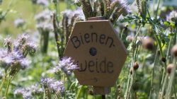 Ausflugstipp: Kräutergarten Anthering