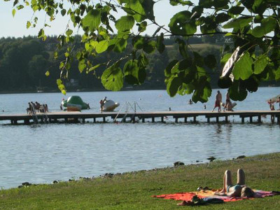 der Wallersee ist nicht weit entfernt