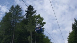 Eine blaue Seilbahn fährt vor einem teilweise bewölkten Himmel über hohen grünen Bäumen hinweg.