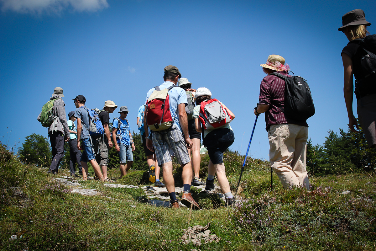 Über Stock und Stein geht es schon, dennoch handelt es sich beim Almblumenweg um eine leichte Wanderung für Jung und Alt