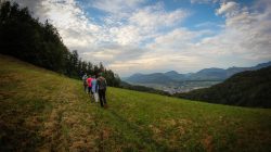 Ein Naturspaziergang mit Waldbad und luftiger Erholung am Dürrnberg