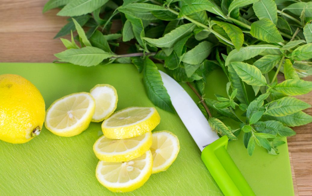 Sirup aus frischen Kräutern - SalzburgerLand Magazin