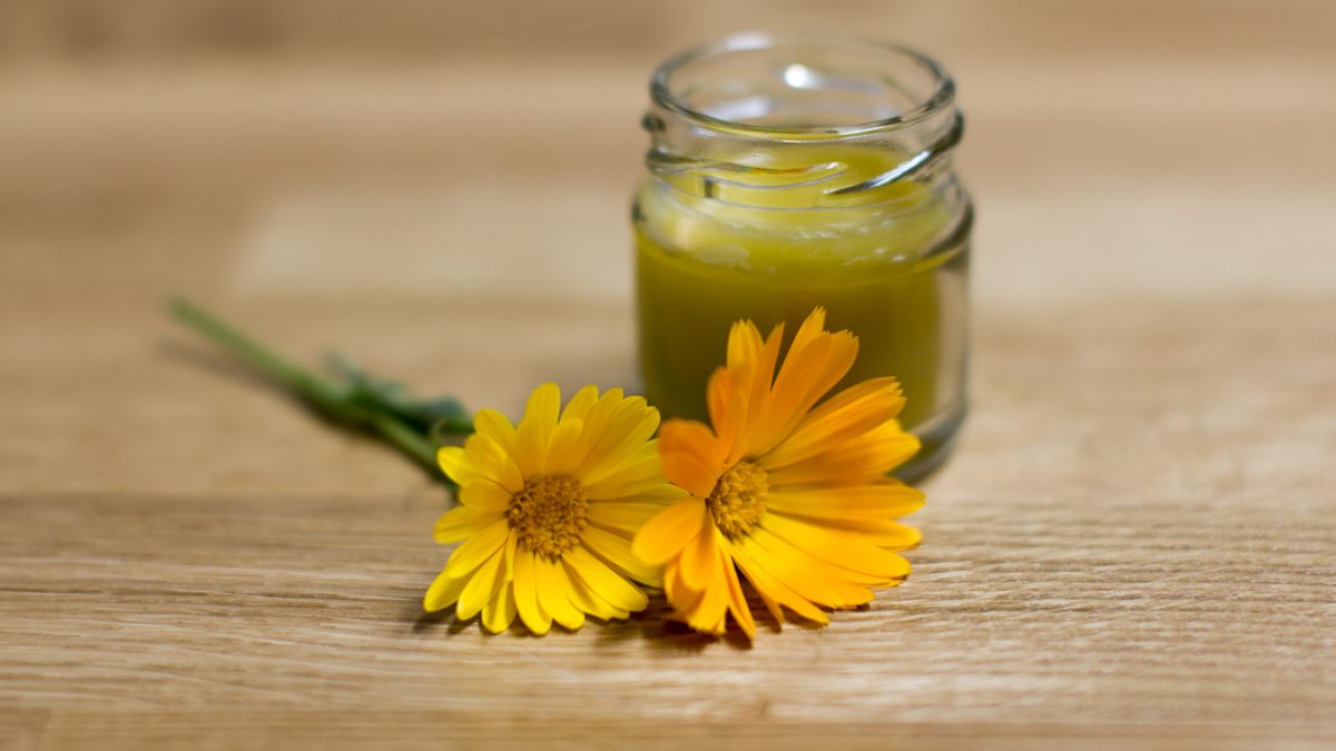 Traditionelle Ringelblumen Salbe Selbst Gemacht Salzburgerland Magazin 