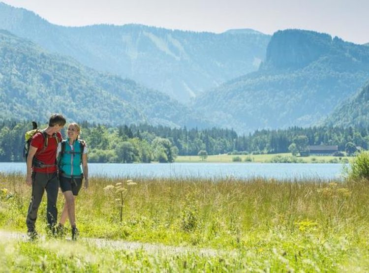 Bewegungsarena Faistenau Hintersee