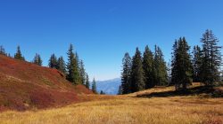 Indian Summer auf der Radstädter Hütte