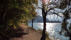 Goldener Herbst am Wolfgangsee
