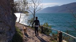 Camping mit Hund im SalzburgerLand