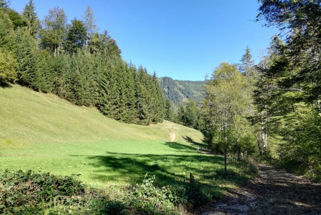 Bewegungsarena Faistenau Hintersee, Eiskapellenweg, Eiskapelle