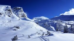 Alpine Momente sicher genießen: Skitourenprofi Franz Althuber im Portrait