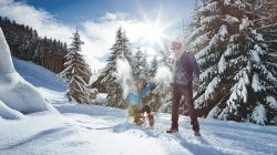Rodelvergnügen: Von Kufen und Kurven