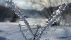 Schneeimpressionen aus dem Winterwunderland