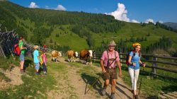 Harmonisch mit der Natur und Tieren umgehen