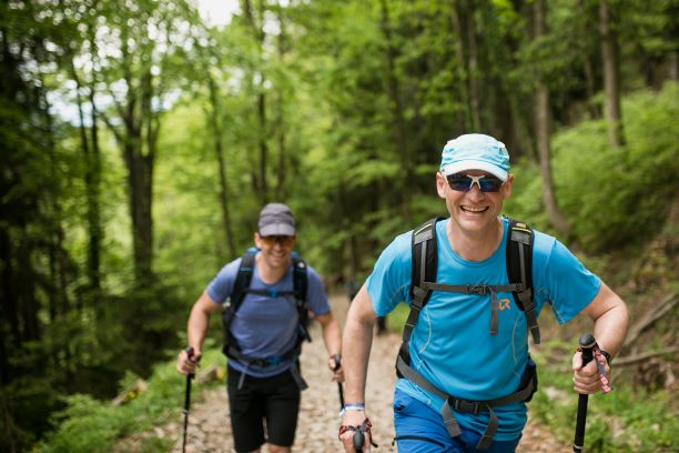 Wandern im Wald