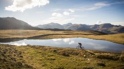 Biker’s Paradise