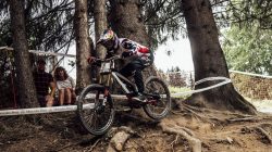 Ein Mountainbiker fährt während eines Rennens auf einem Waldweg über Baumwurzeln, während Zuschauer in der Nähe zusehen.