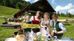 Die Holleralmen