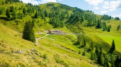 Loosbühelalm im Großarltal