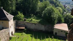 Unterwegs in Salzburgs Stadtwälder