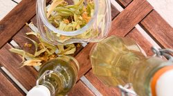 Wenn die Linden blühen – Traditionelle Rezepte aus dem SalzburgerLand