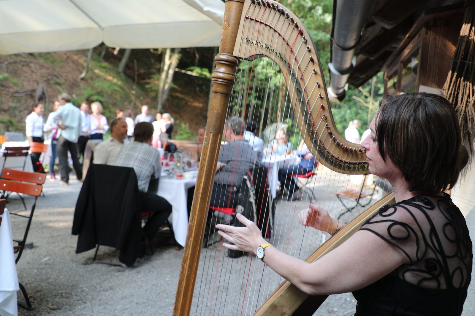 Walddinner in der Rumingmühle in Fuschl am See von Johannes Brandstätter Brunnwirt